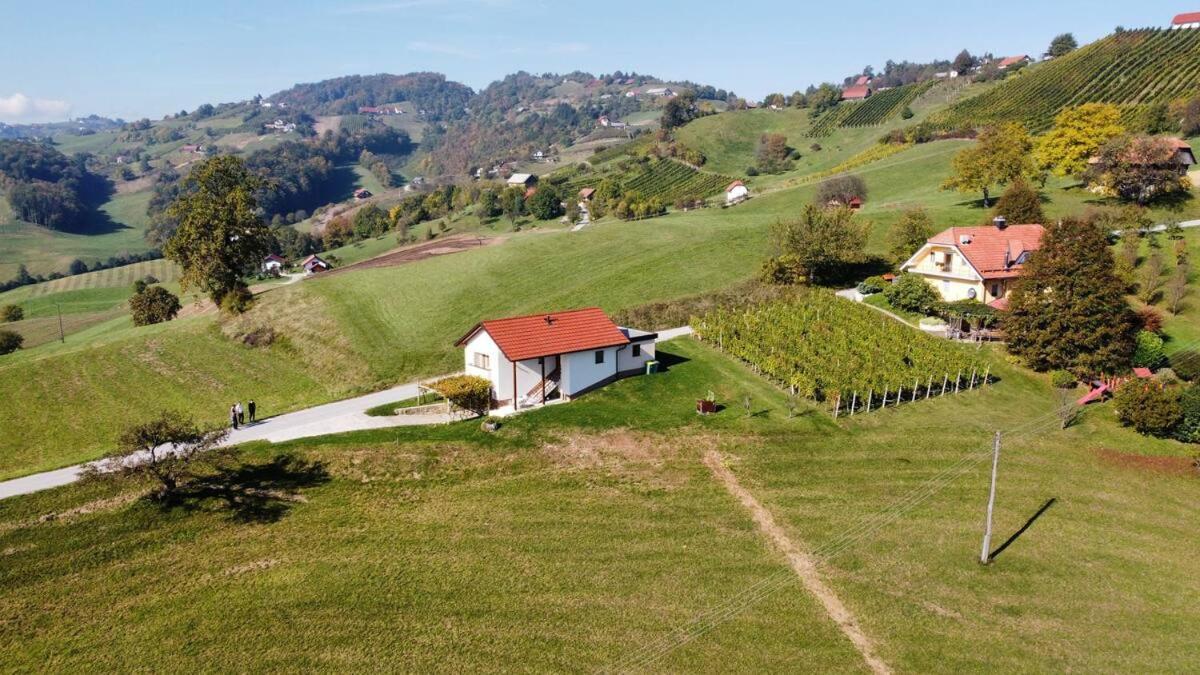 Holiday House Zlacka Gorca Pristava pri Mestinju Bagian luar foto