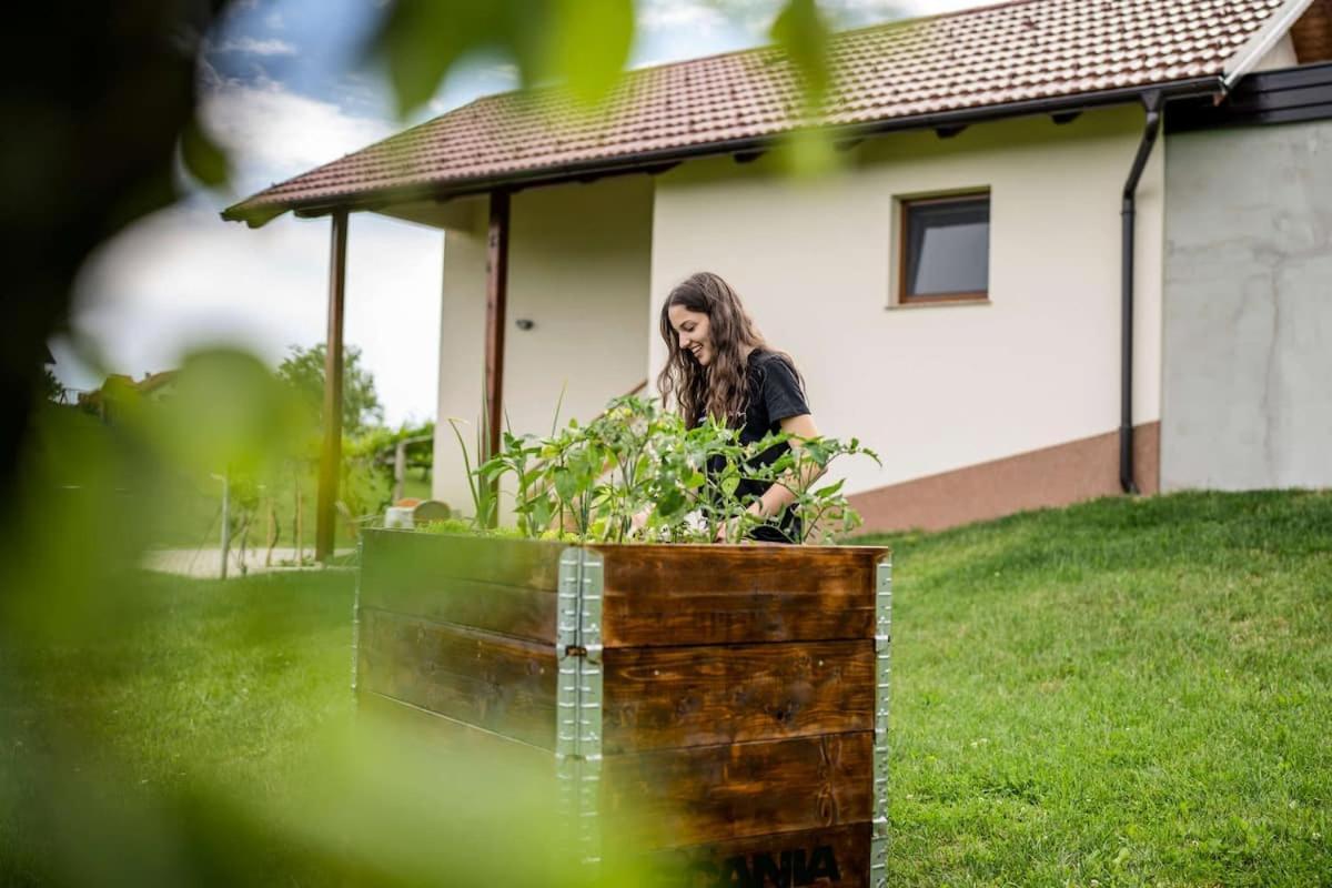 Holiday House Zlacka Gorca Pristava pri Mestinju Bagian luar foto